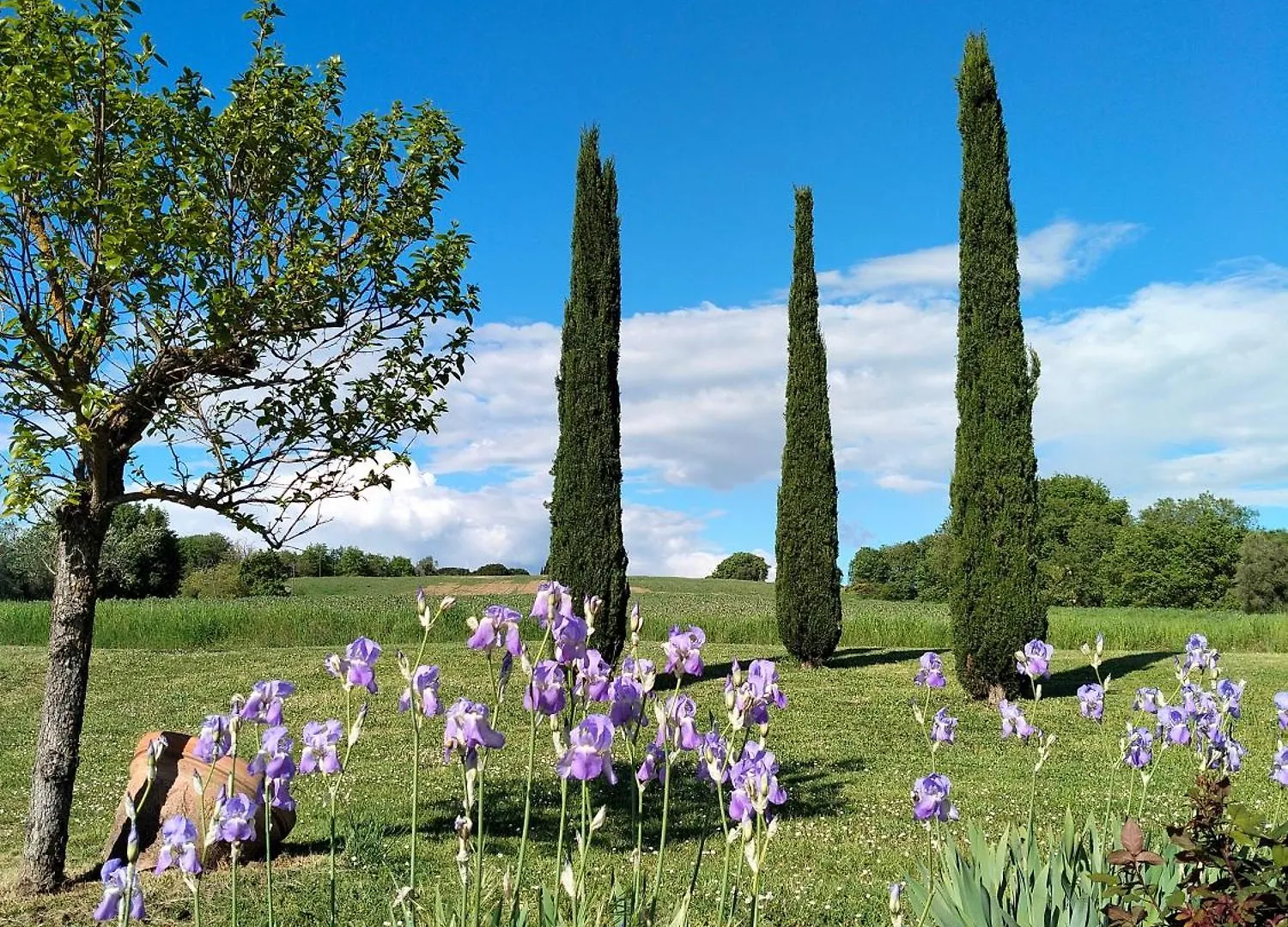 Villa Nobile Cortona Italy
